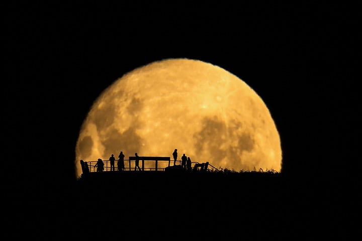 'Moon silhouettes' by Mark Gee 