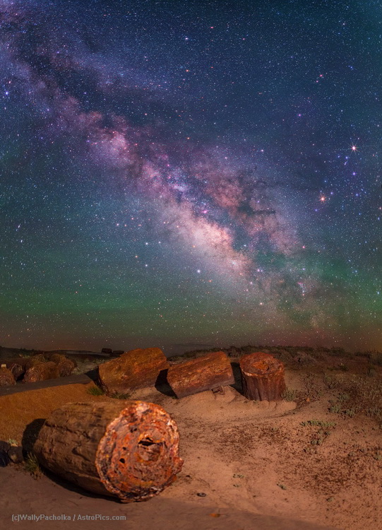 Milky Way over Petrified Forest (c) Wally Pacholka