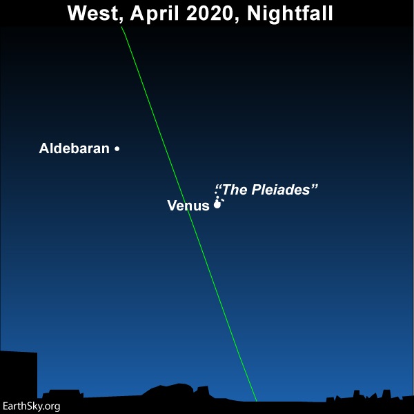 2020 Apr 02 Pleiades Venus Aldebaran night sky